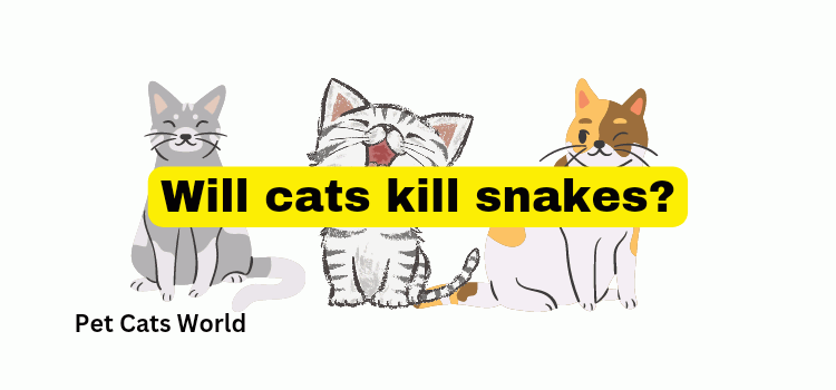 Will cats kill snakes