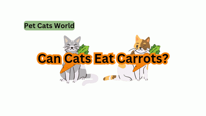 can cats eat carrots easily